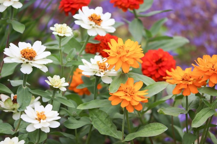 Sfeermakers voor in de tuin