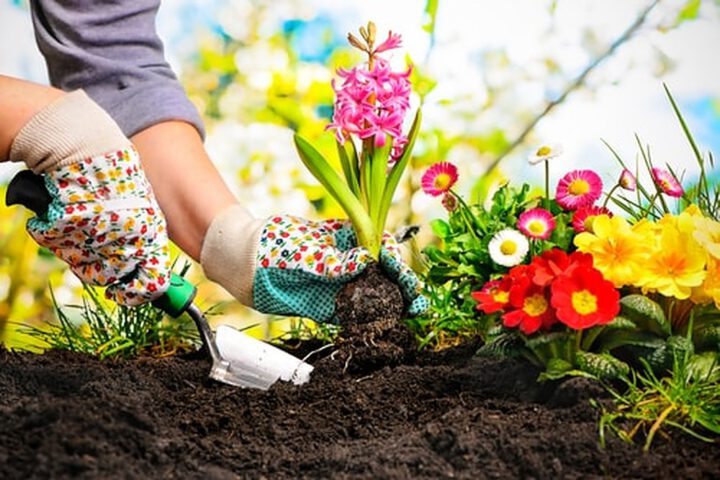 Tuiniertips voor beginners: zo haal je alles uit jouw eerste tuin!