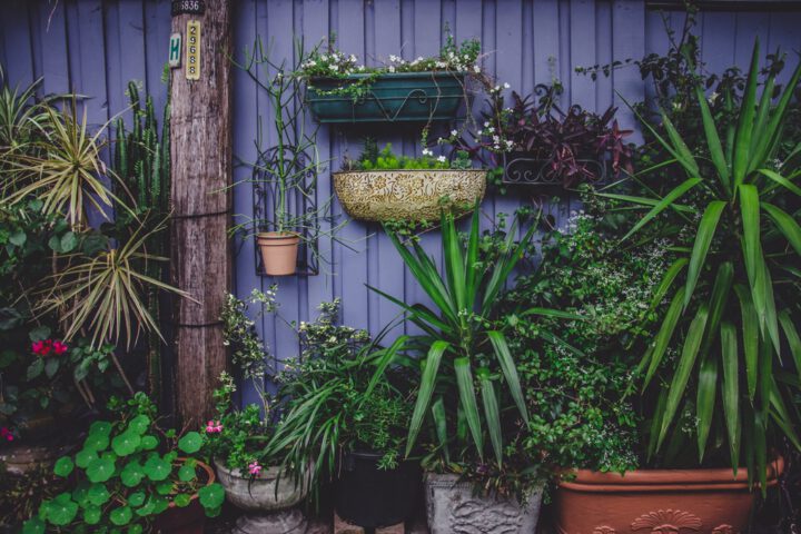 5 tips voor een kleine tuin