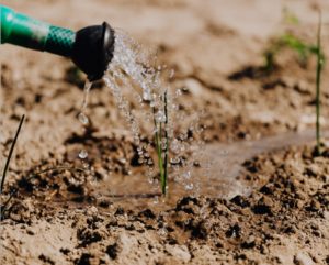 Werken in de groenvoorziening? Dit is waarom!