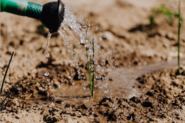 Werken in de groenvoorziening? Dit is waarom!