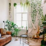 Zo creëer je een levende groene muur in huis