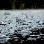 5 Tips om Overlast van Regen in je Tuin te Voorkomen