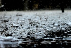 5 Tips om Overlast van Regen in je Tuin te Voorkomen
