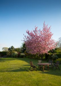 Achter de schermen bij een tuin make-over